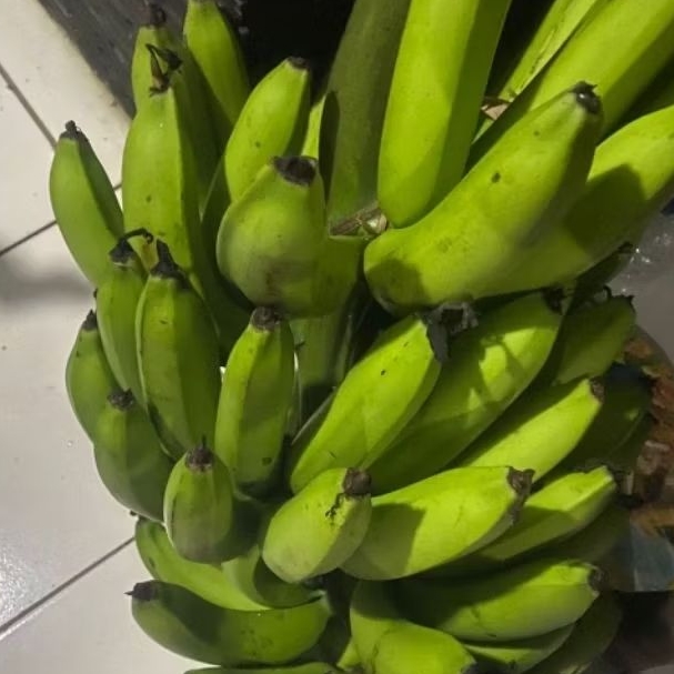 

Buah Pisang Mentah JYN PB Pisang Bangkaulu