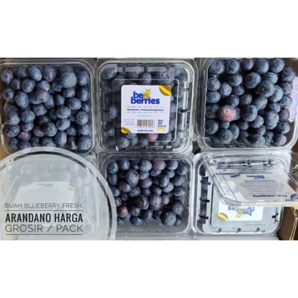 

BUAH BLUEBERRY 1PACK