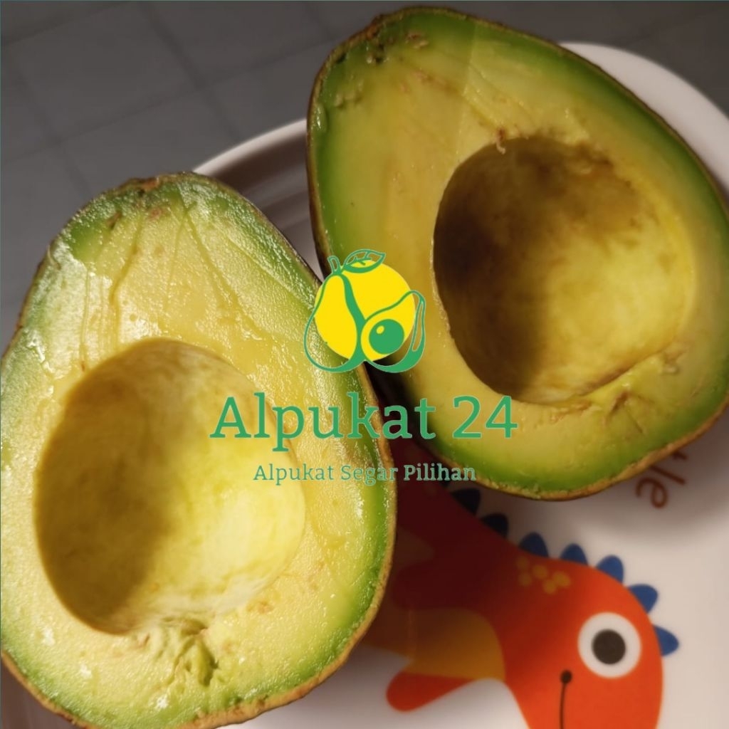 

ALPUKAT ACEH / ALPUKAT24 / ALPUKAT BAGUS / ALPUKAT MURAH / SUPERFOODS