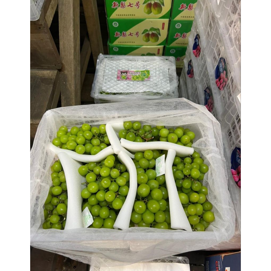 

Anggur Muscat Krat 5 Kg Anggur Hijau Seedless Tanpa Biji