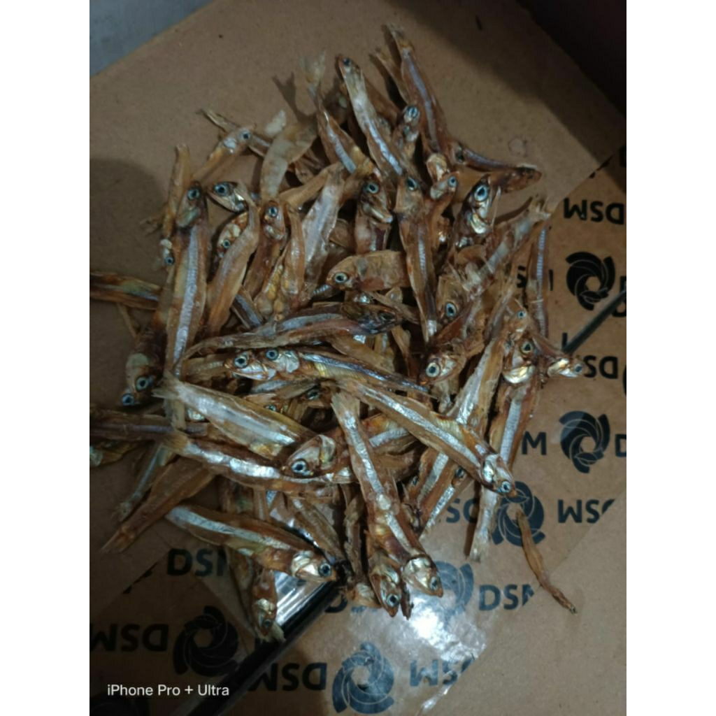 

ikan asin indo teri/teri besar