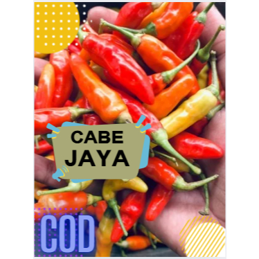 

250 gram cabe rawit merah fress petik langsung dari petani