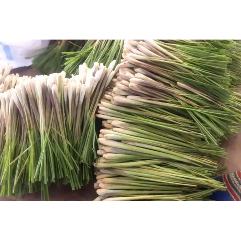 

sereh/serai segar/pcs