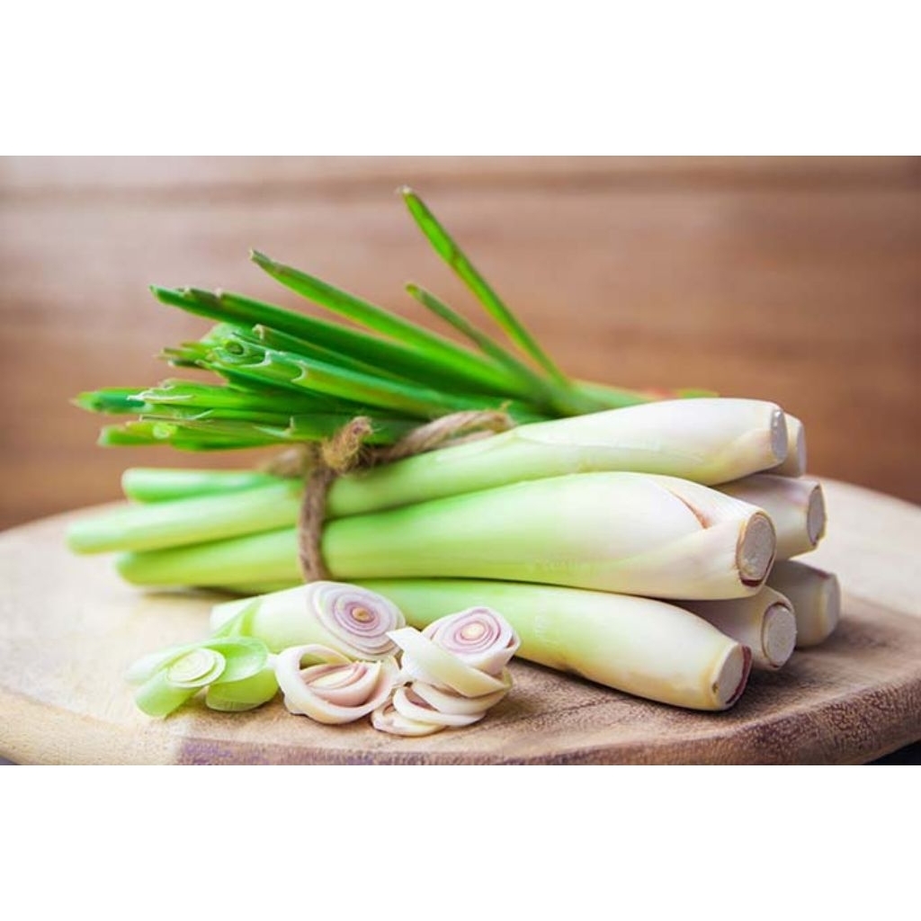 

Sereh Bumbu / Serai Bumbu, Gratis Ongkir 100℅