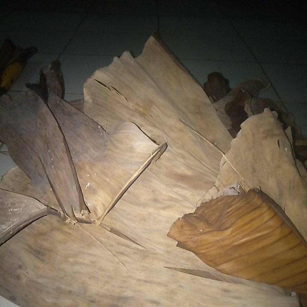 

Daun pisang kiring /daun pisang coklat untuk media jakrik 500 grm