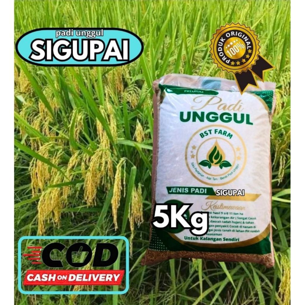 

padi sigupai 5 kg
