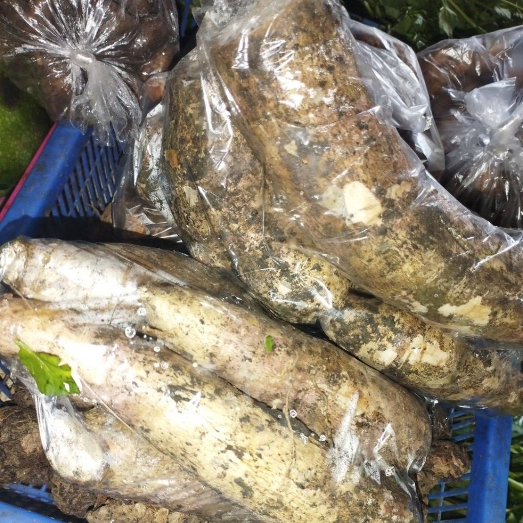 

Singkong / pohong / umbi