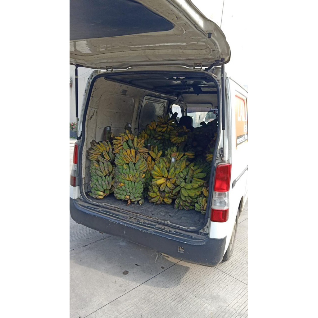 

PISANG KEPOK PONTIANAK HARGA/5kg