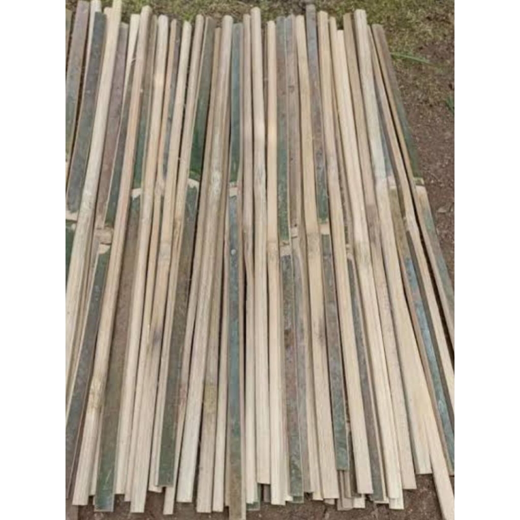 bambu bilah ajir tanaman isi 10 bilah bambu