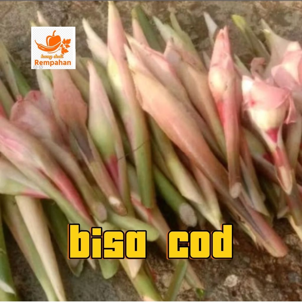 

bunga kecombrang sayur