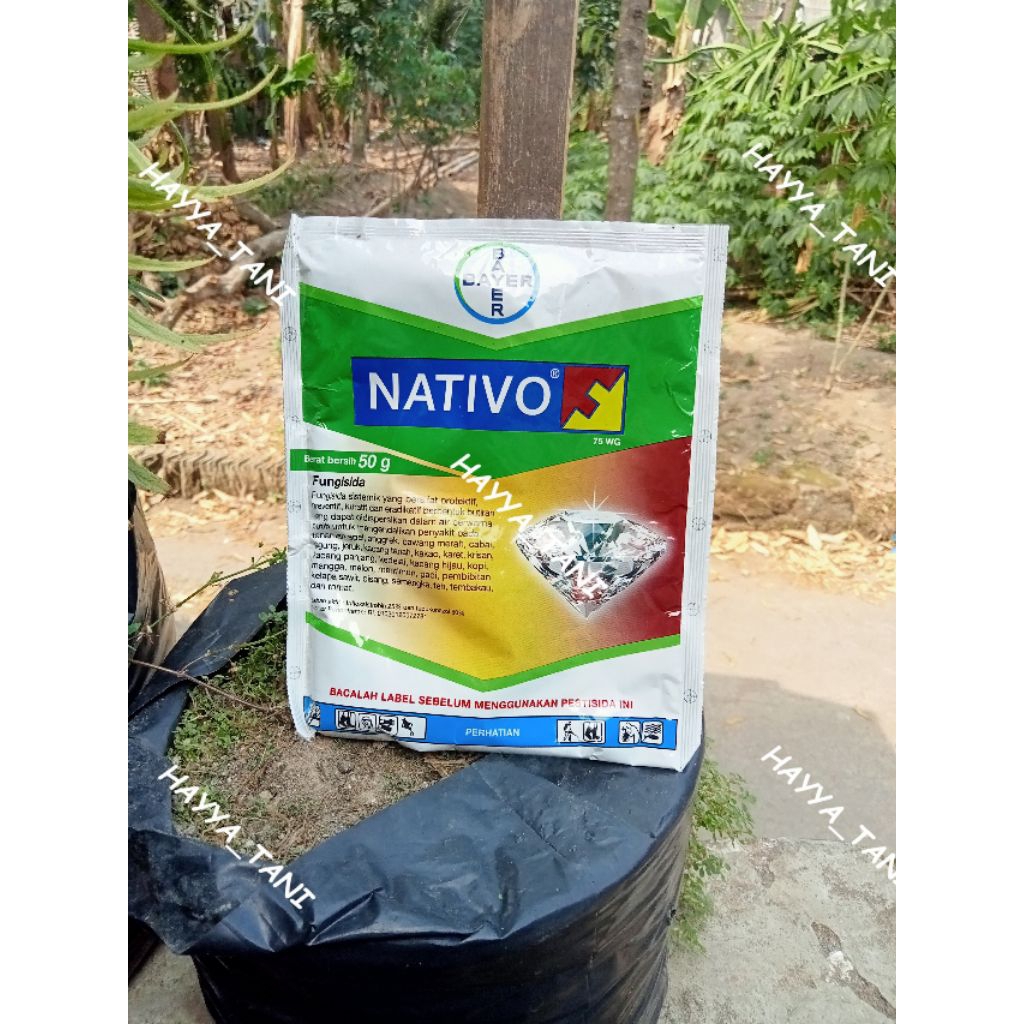 Fungisida NATIVO 75 WG