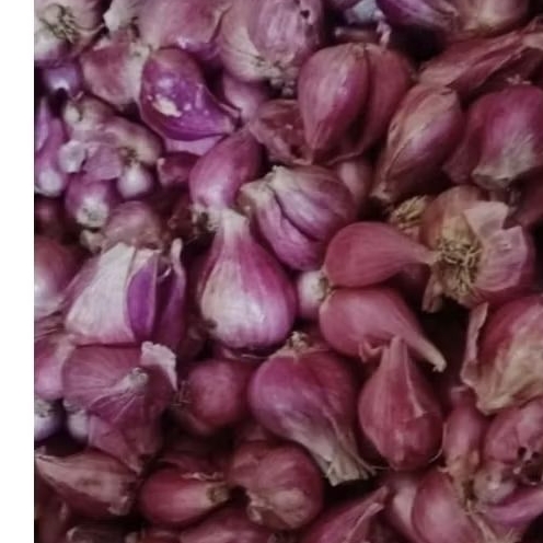 

bawang merah brambang 1kg