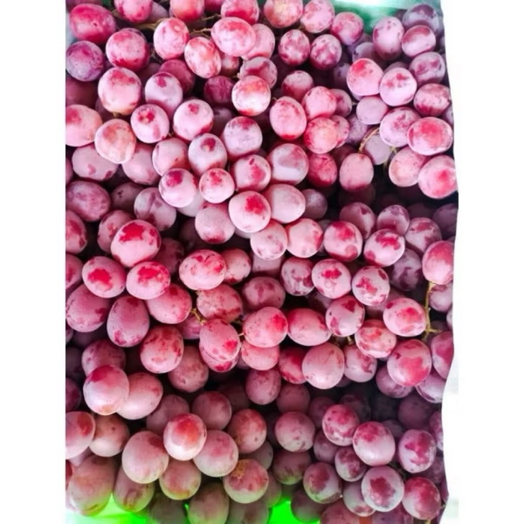 

BUAH ANGGUR AUSTRALIA RED GLOBE 500GR