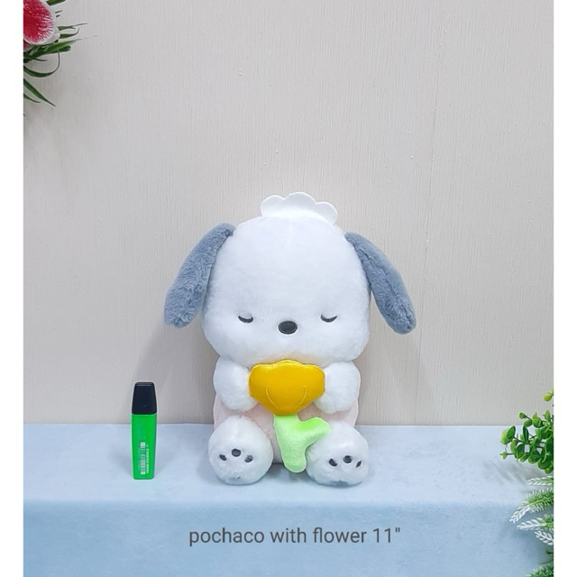 Boneka Pochaco With Flower/Pochaco Cute