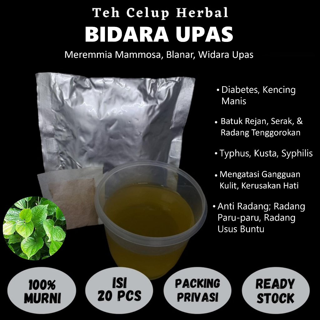 

Teh Celup Herbal BIDARA UPAS Mengatasi Radang Malaria Thypus Kusta Demam Batuk Serak Difteri