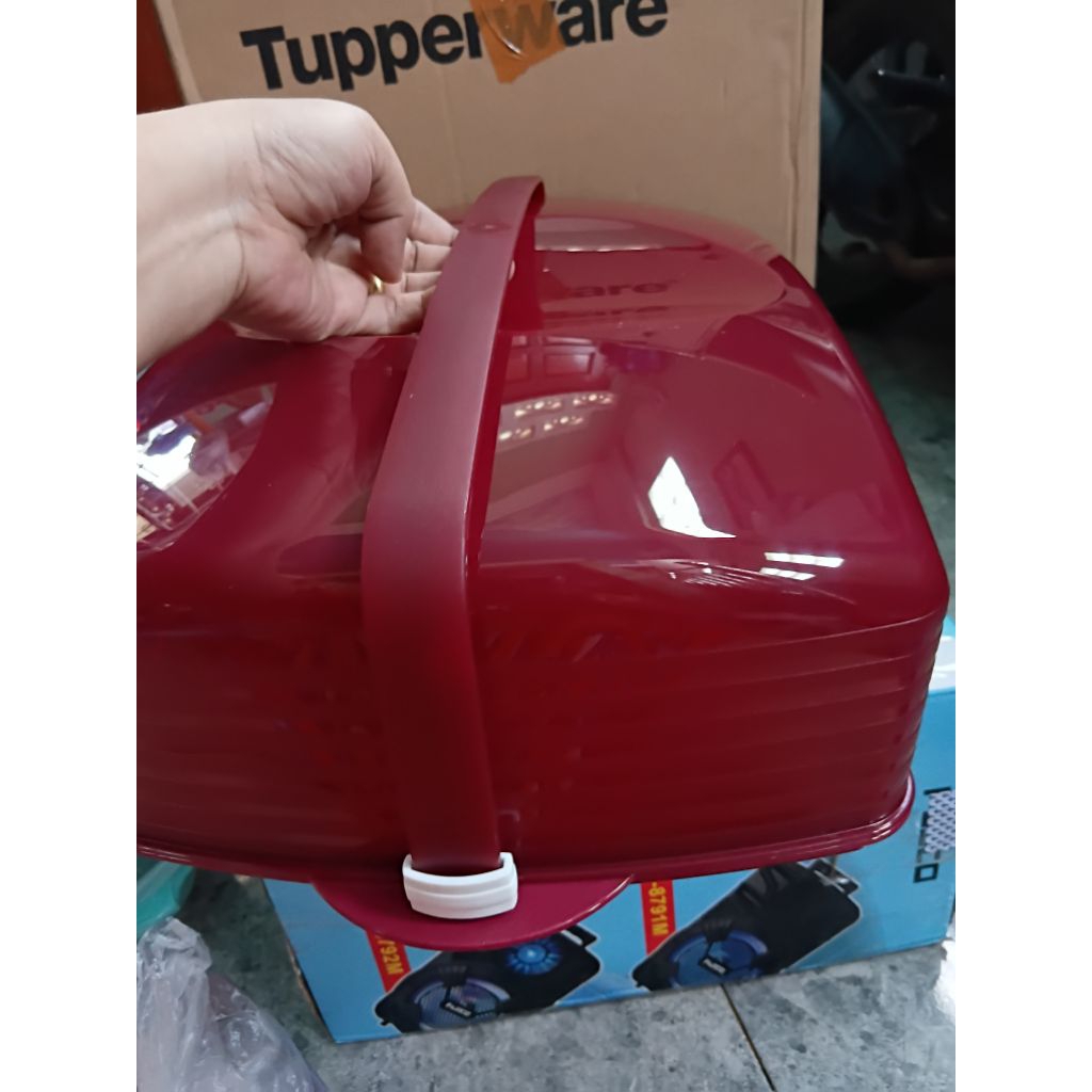 cake taker rectangular tupperware