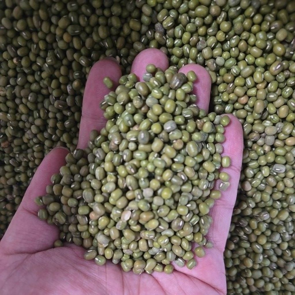 

kacang hijau birma eceran per kg