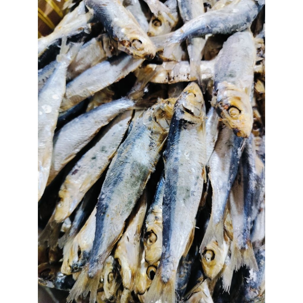 

IKAN ASIN LESI // JAPU // SERO ASIN