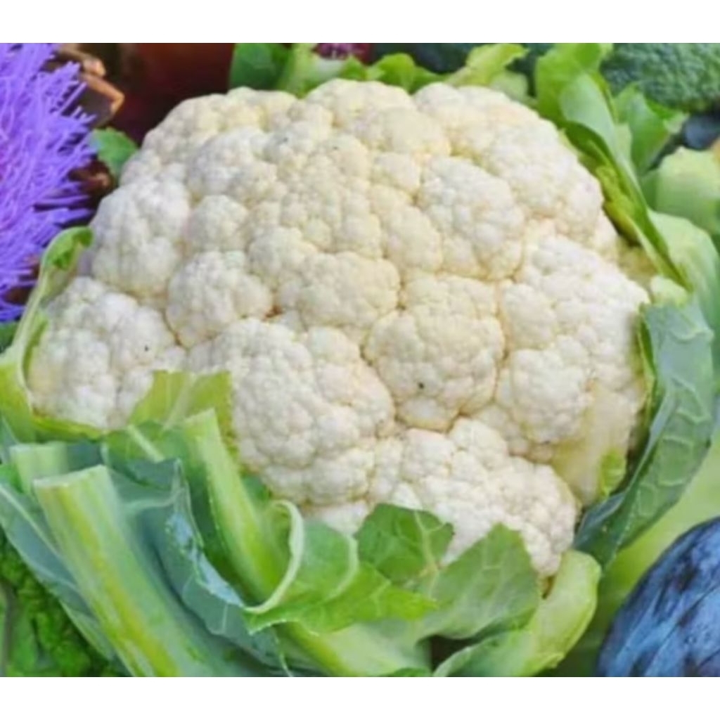 

kembang kol/brokoli 1 kg
