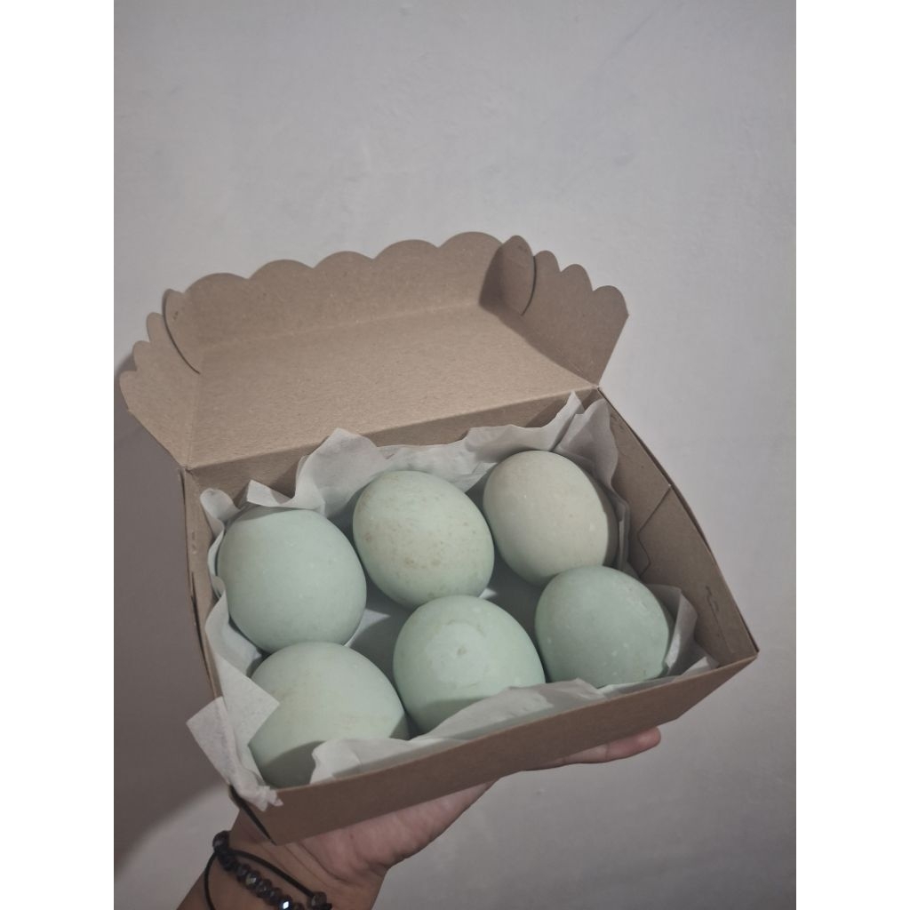 

Telur Asin ASLI Telur Bebek Telur Asin Masir Grade A Telur Lebih Besar