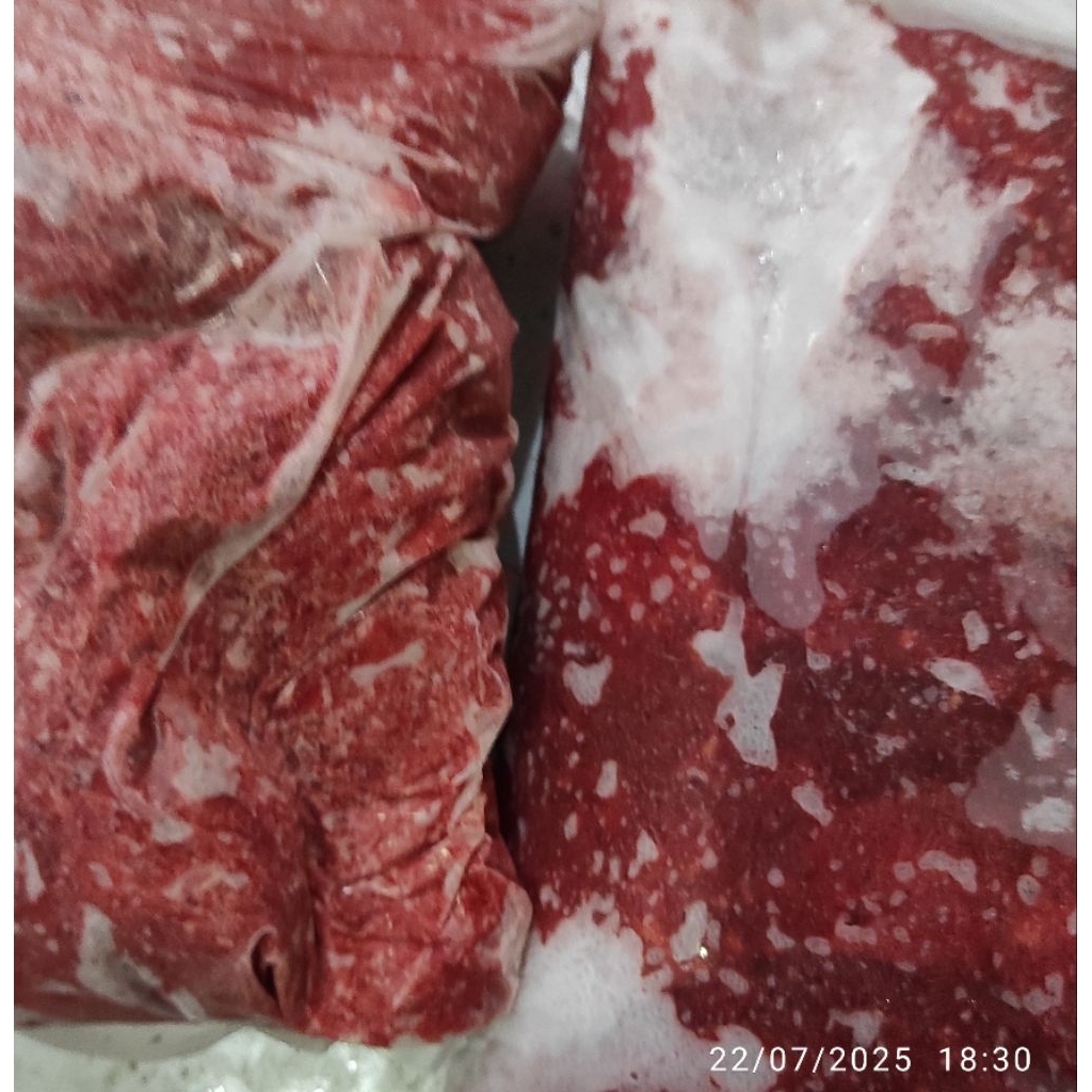 Raw Food, daging ayam giling untuk makanan kucing