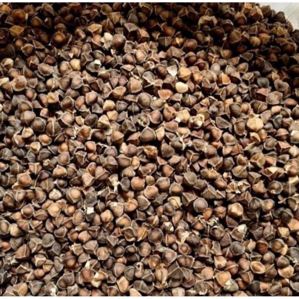 

BIJI KELOR GUNDUL 1/2 KG