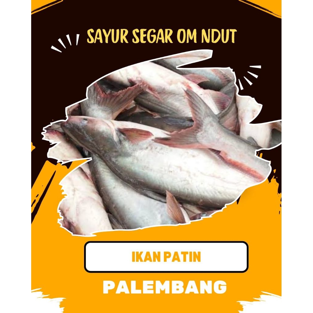 

IKAN PATIN - INSTAN PALEMBANG