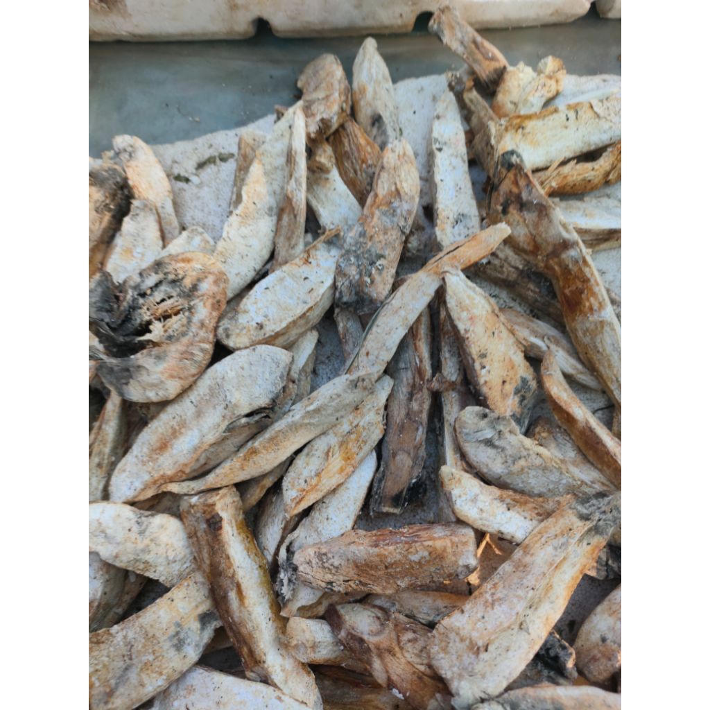 (Kiloan) - Gaplek/Gatot Singkong Kering