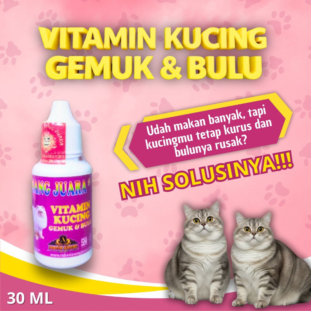 VITAMIN GEMUK DAN BULU KUCING