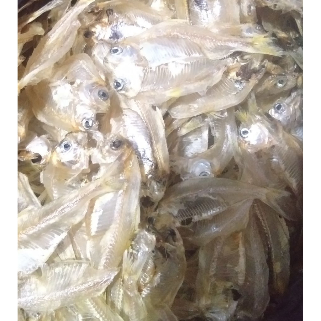 

ikan kelapan kering premium tanpa sisik