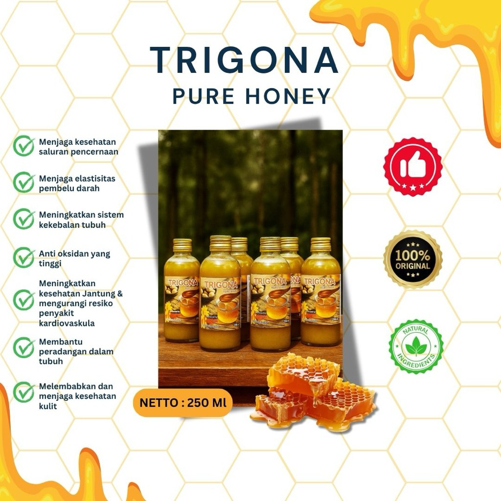 

Madu Trigona Murni Asli 100%