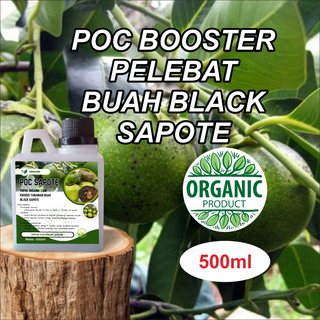 Pupuk Black SapoteTerbaik / Pupuk Khusus Pohon Black Sapote / Obat Hama Buah Black Sapote