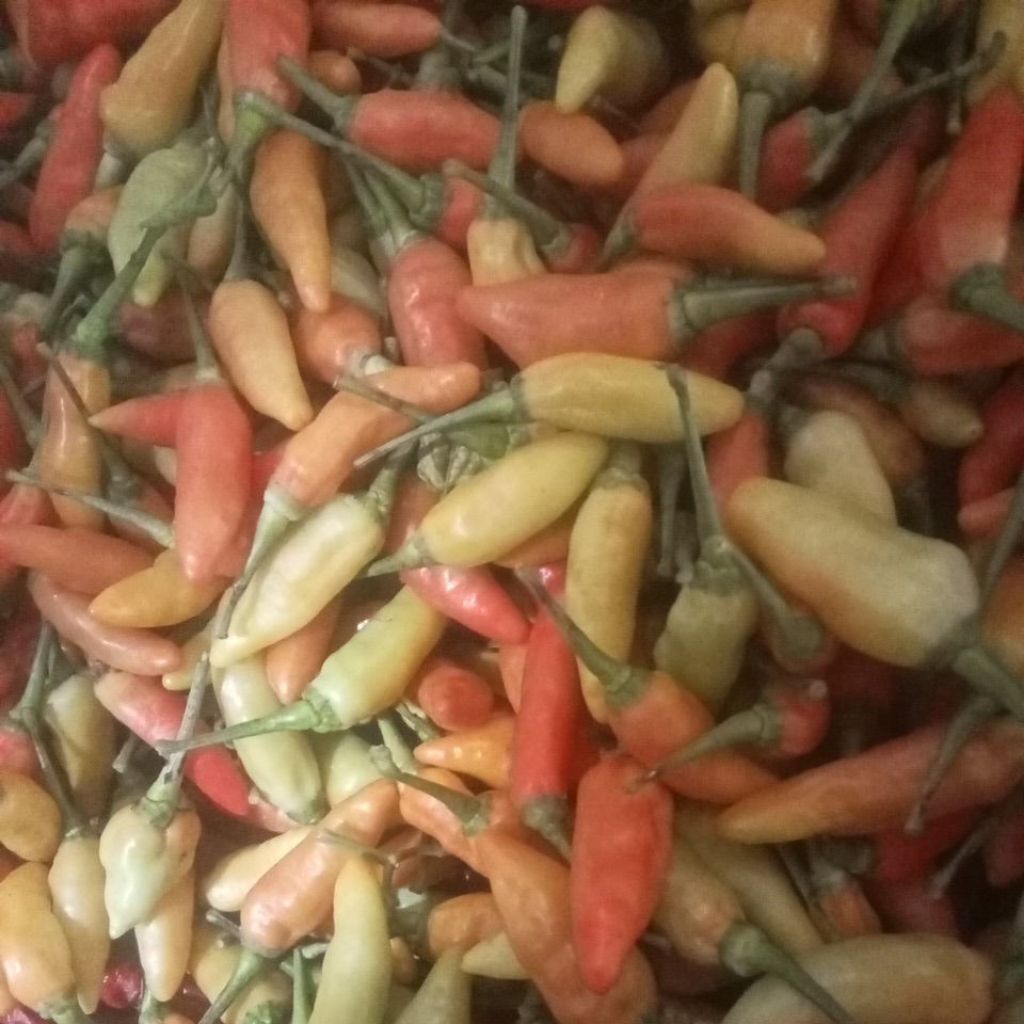 

lombok rawit ori 500gram