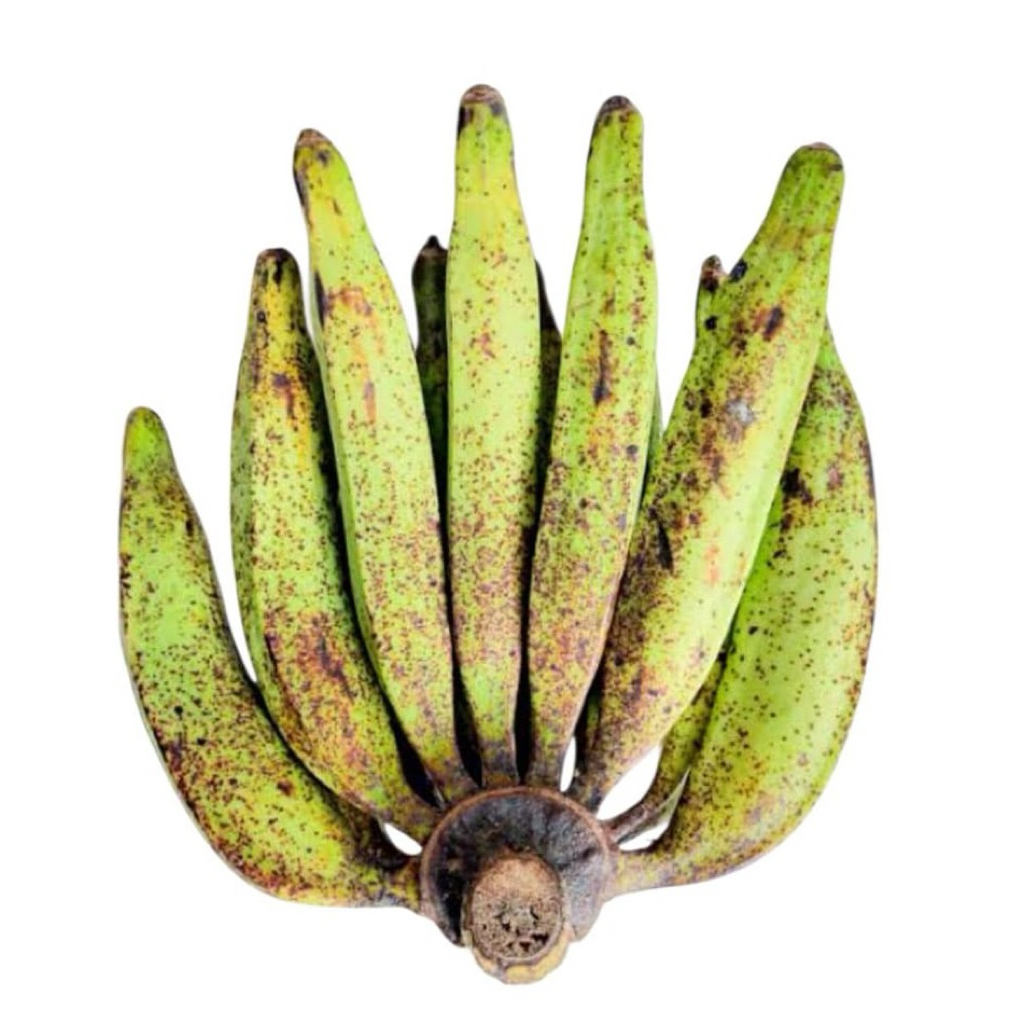 

PISANG TANDUK/GALEK/AGUNG VARIASI 1-5 KG