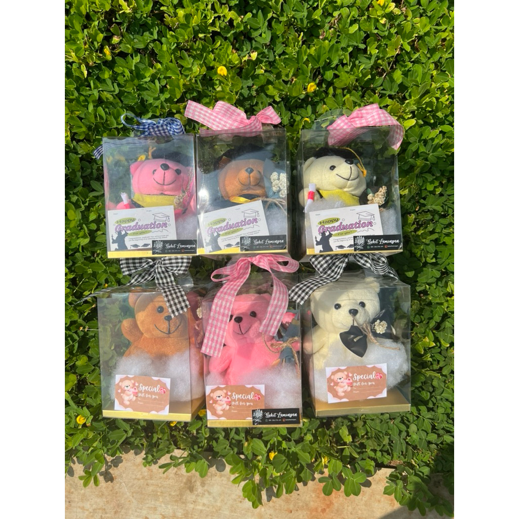 Hampers Wisuda Gift Box Kotak Mika Boneka Wisuda & Buket Bunga Mini Spesial Wisuda / Ulang Tahun / K