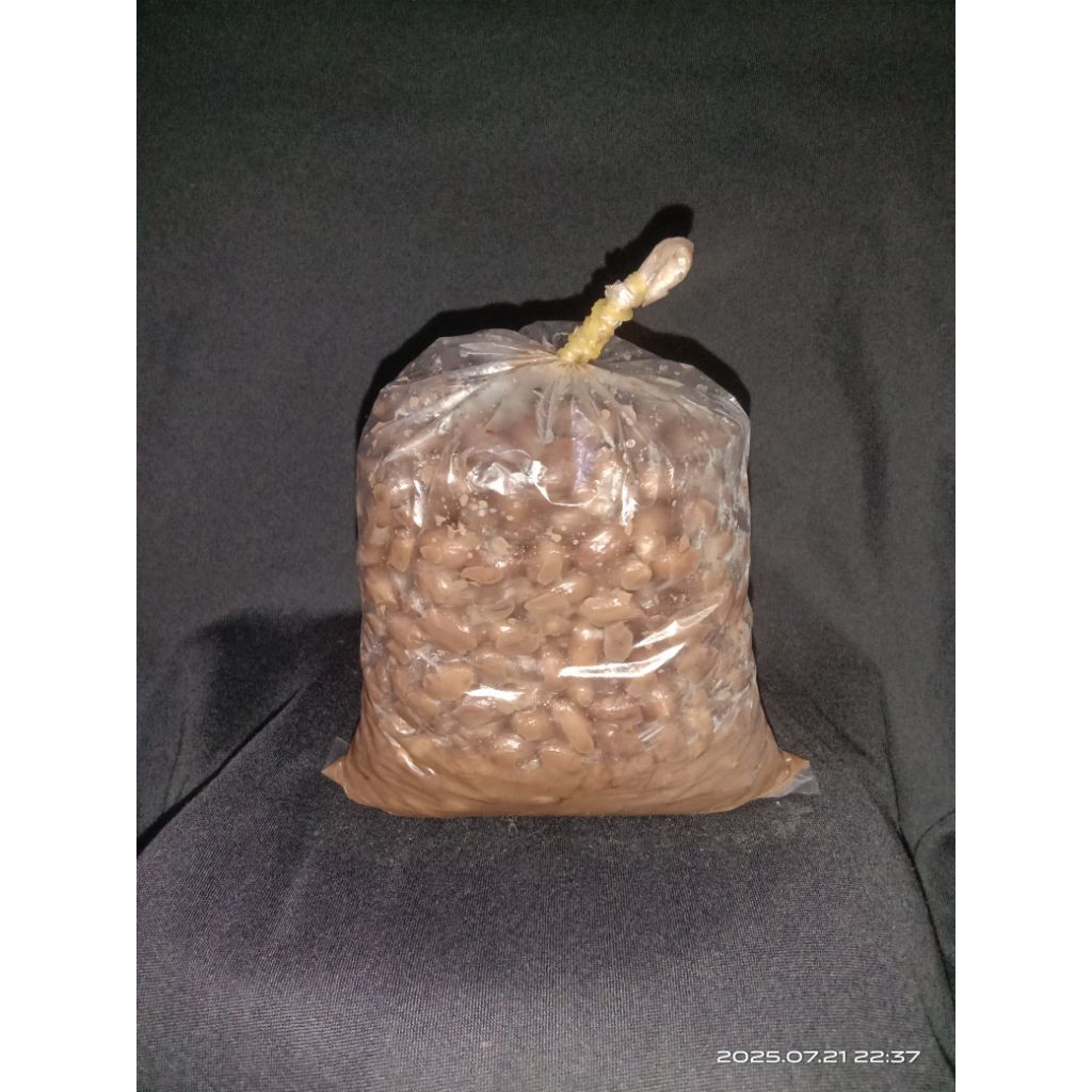 Kacang Garong umpan mancing ikan bawal kacang presto