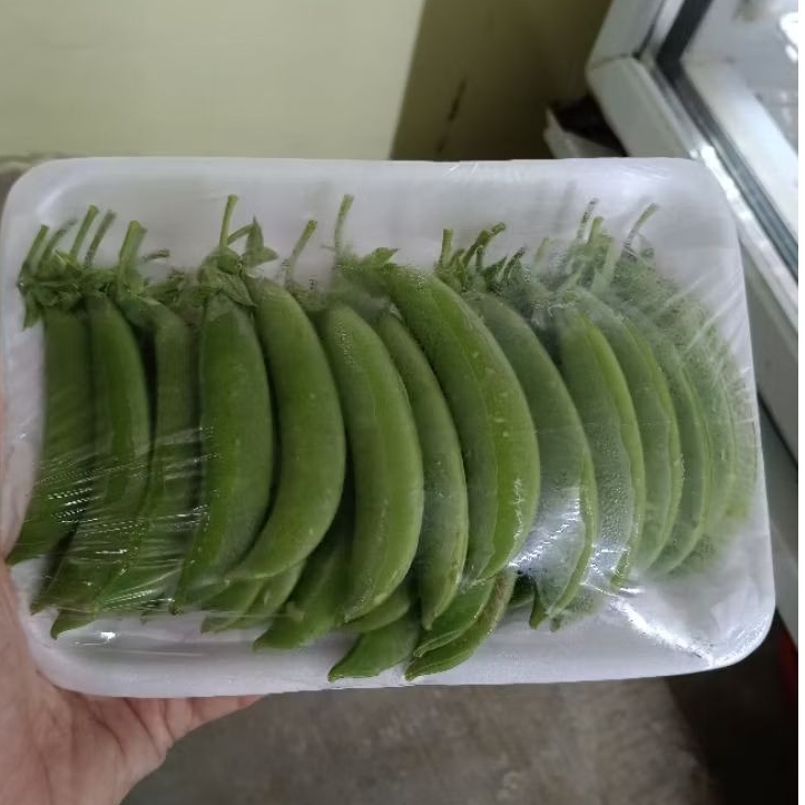 

Kacang Arcis atau Kapri