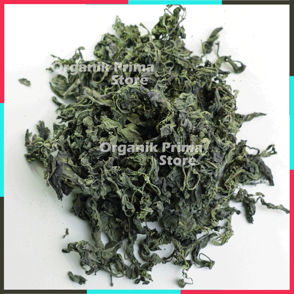 

Daun Sambung Nyowo 500gr Nyawa Kering Asli Bersih dan Organik