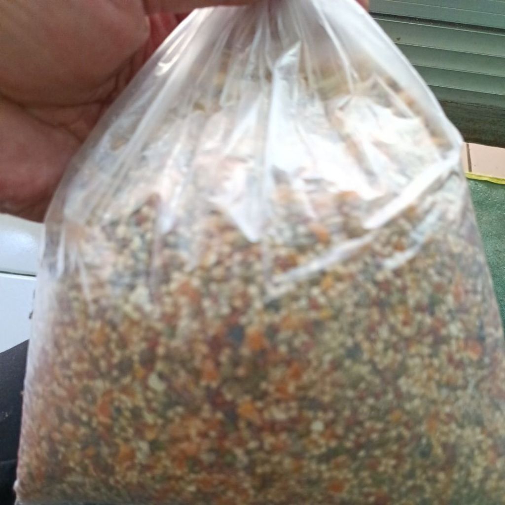 

jagungcampurkumplit biji2an tekukurbersih 1kg