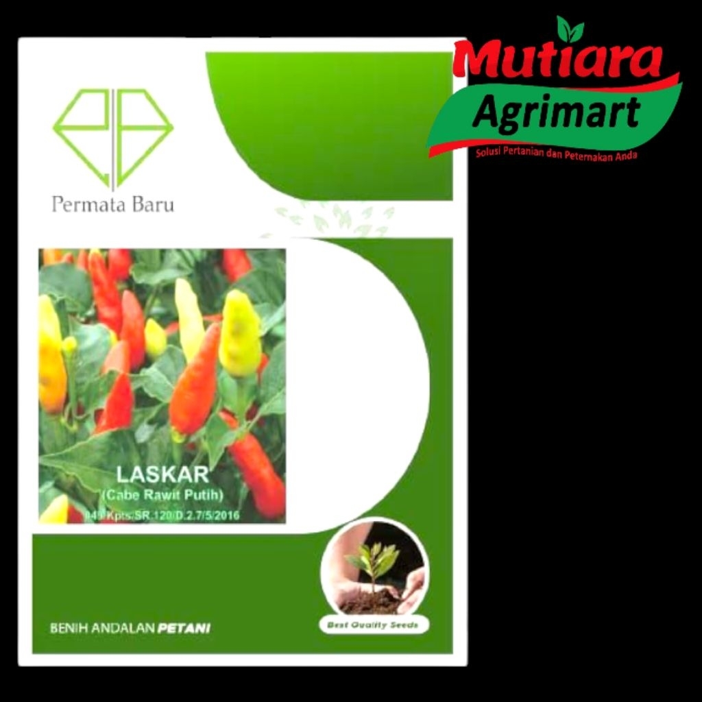 BIBIT CABE RAWIT PRENTUL LASKAR 10 GR // BENIH PERMATA BARU