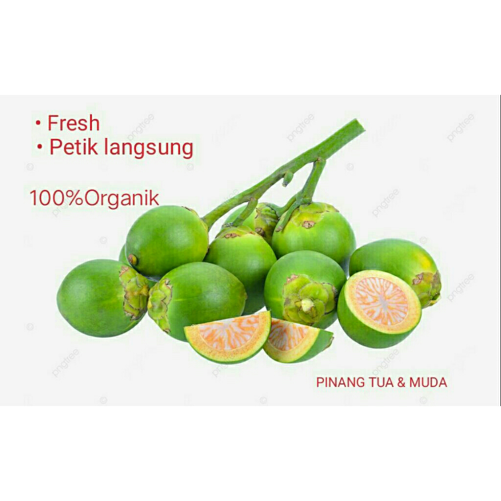 

PINANG TUA || MUDA MURAHH!!!