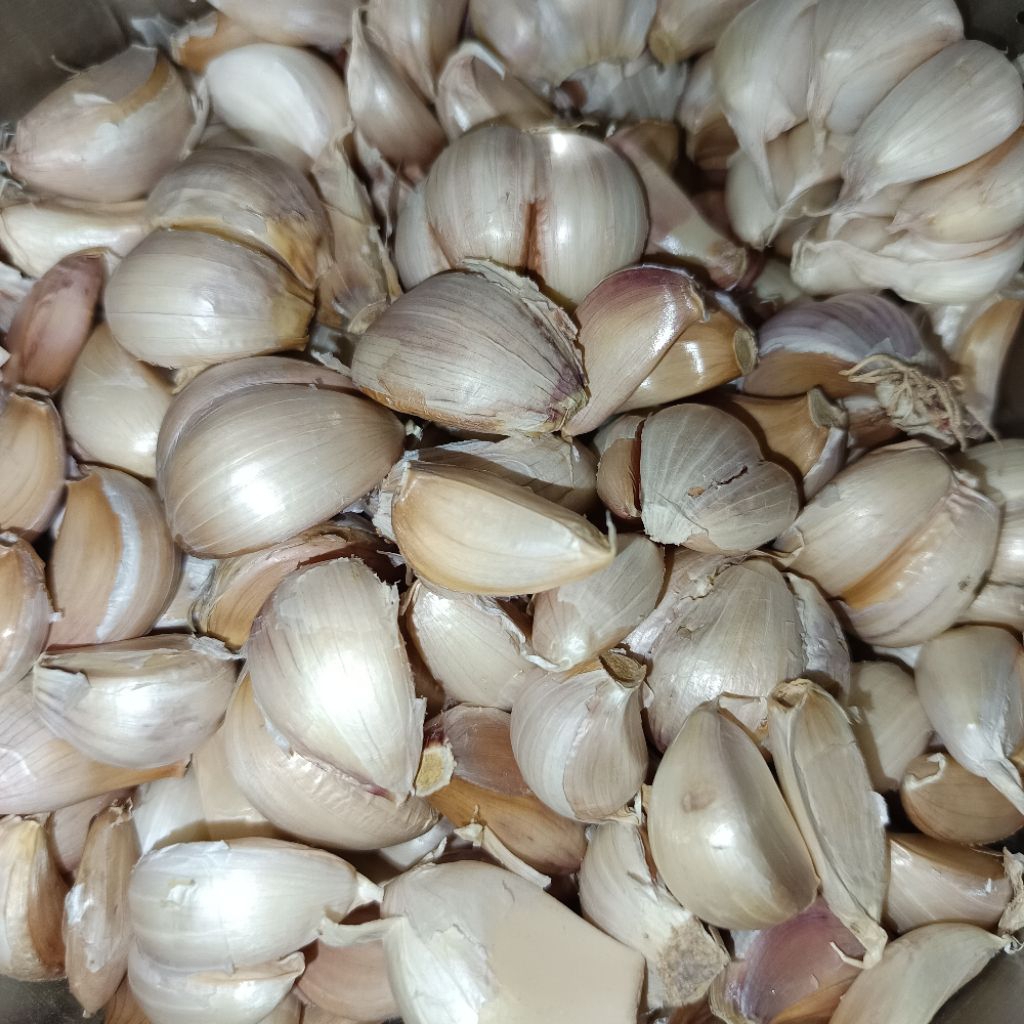 

Bawang putih pecahan 1kg