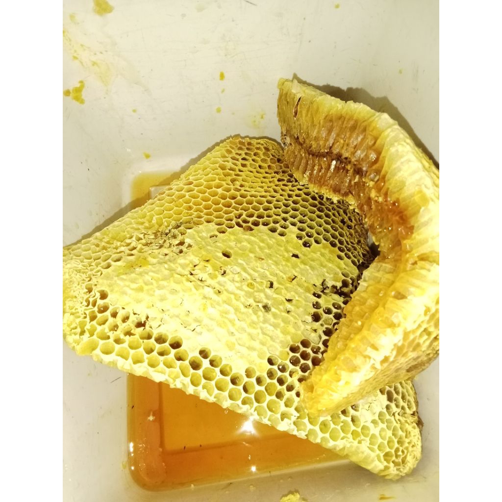 

Madu sarang hutan Odeng 100grm