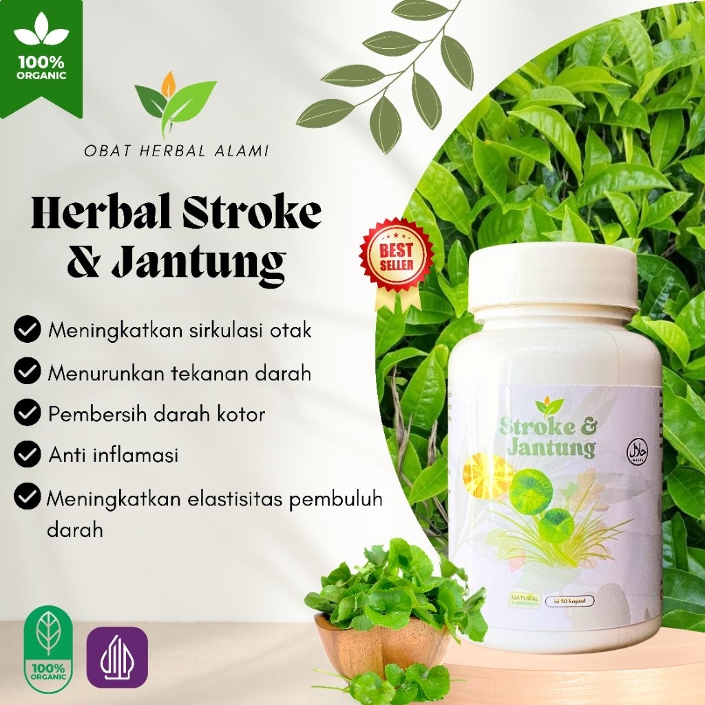 

Obat Herbal STROKE/JANTUNG/Darah tinggi 100% Alami Herbal Ekstrak Pegagan & Alang - Alang Isi 50 Kapsul