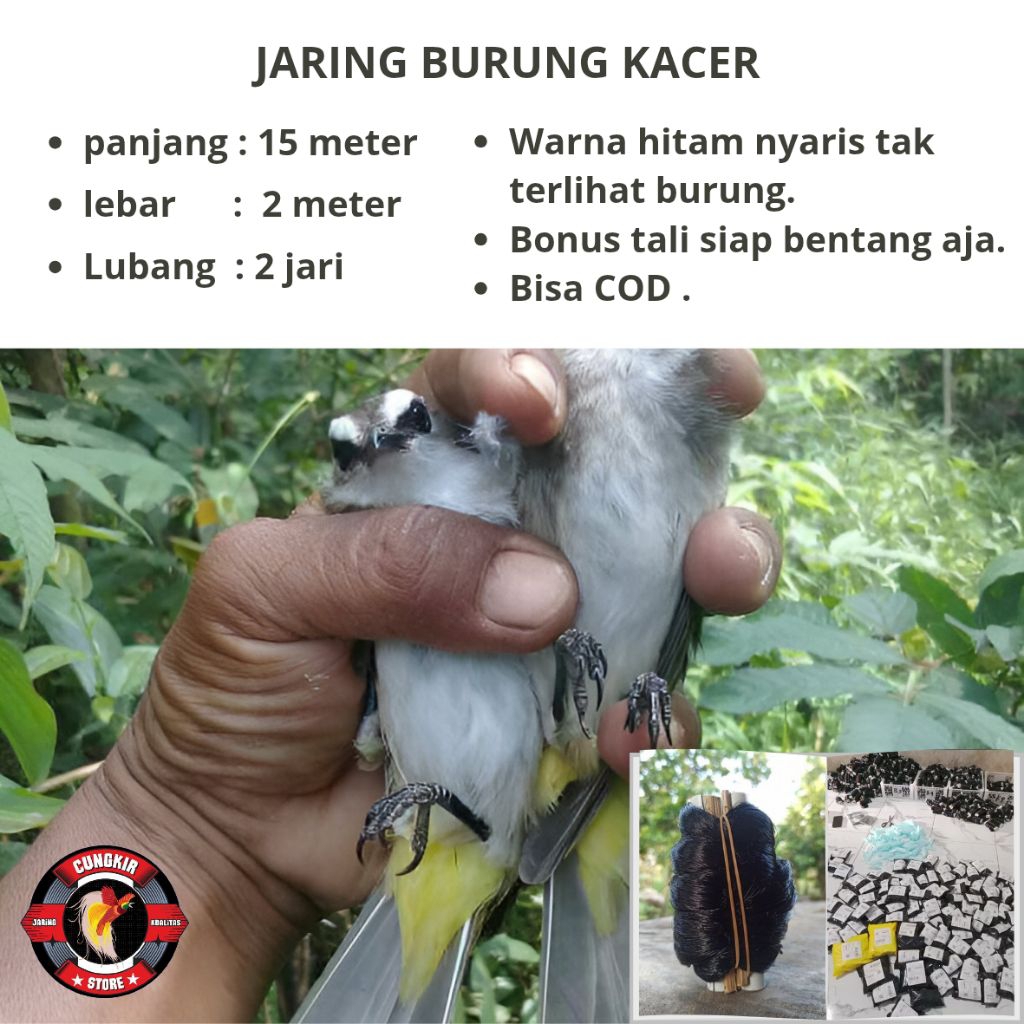 JARING BURUNG KACER JARING BURUNG TRUCUKAN SIAP PAKAI PANJANG 15 METER LEBAR 2 METER