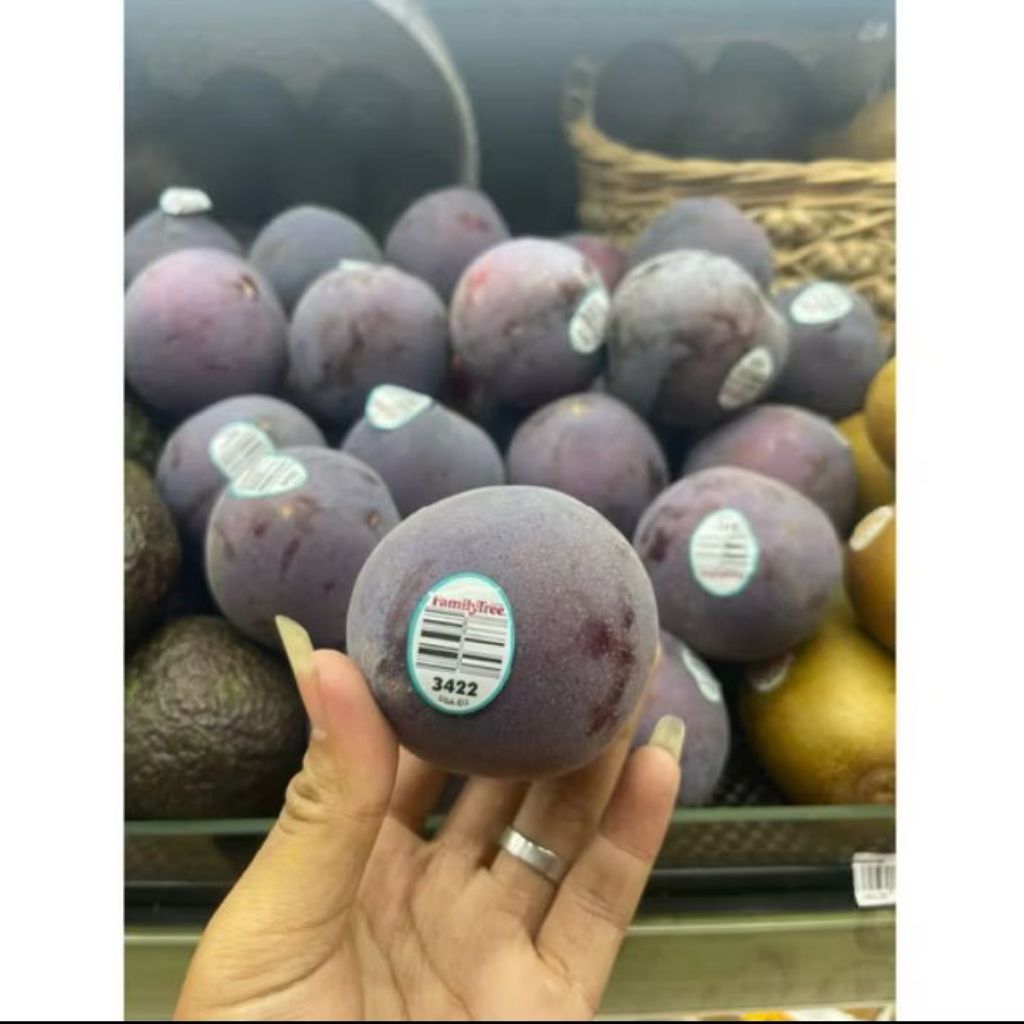 

Plum Midnight Rose Import / Plum Black Amerika Serikat Fresh Sweet 500gram