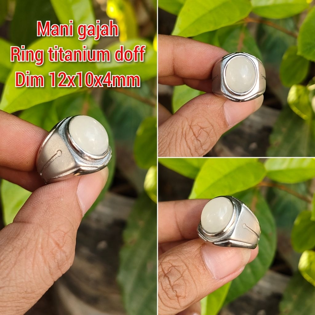 CINCIN PRIA MANI GAJAH KECIL RING TITANIUM DOFF