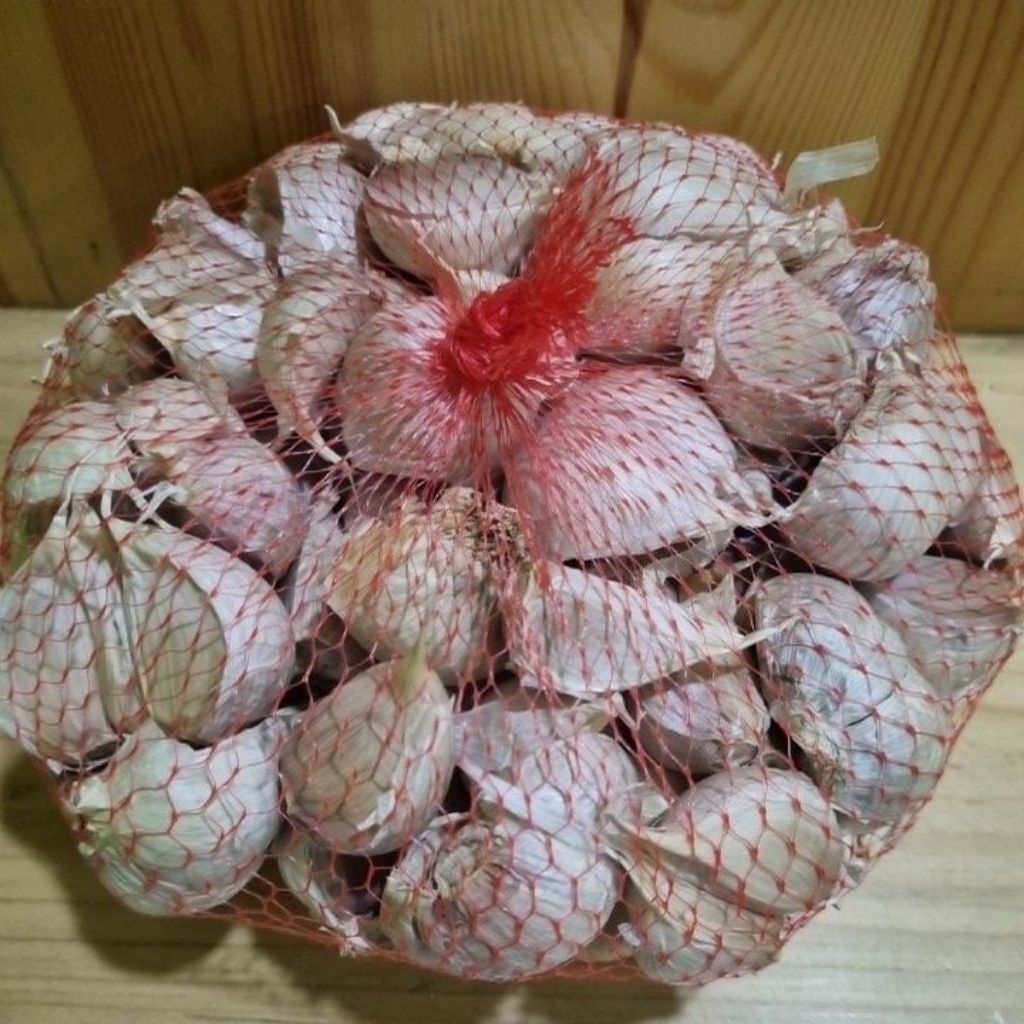 

Bawang kating import premium