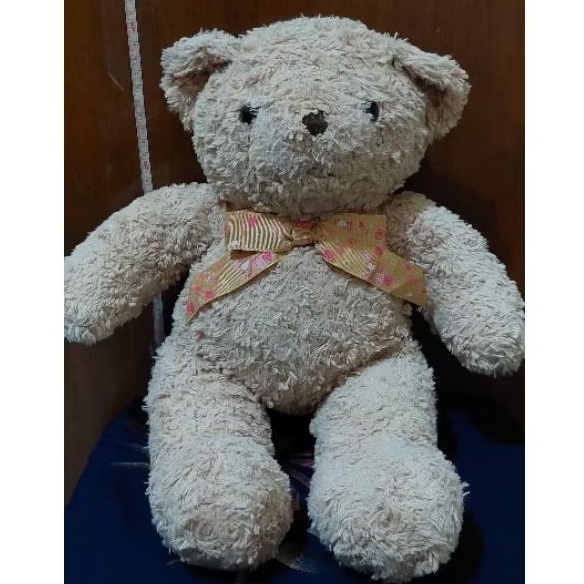 Teddy bear klasik+admin