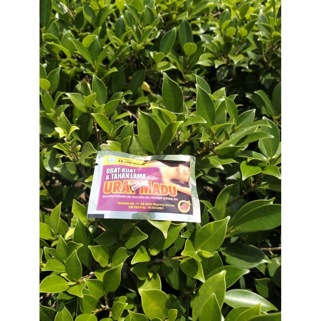 

asesoris top.madu saset